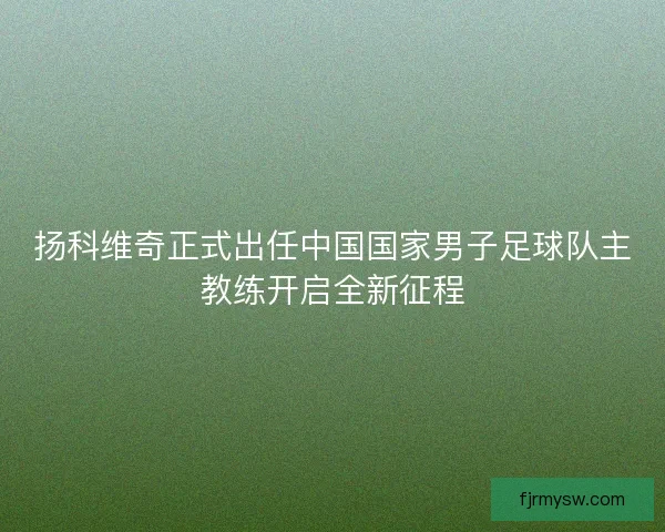 扬科维奇正式出任中国国家男子足球队主教练开启全新征程